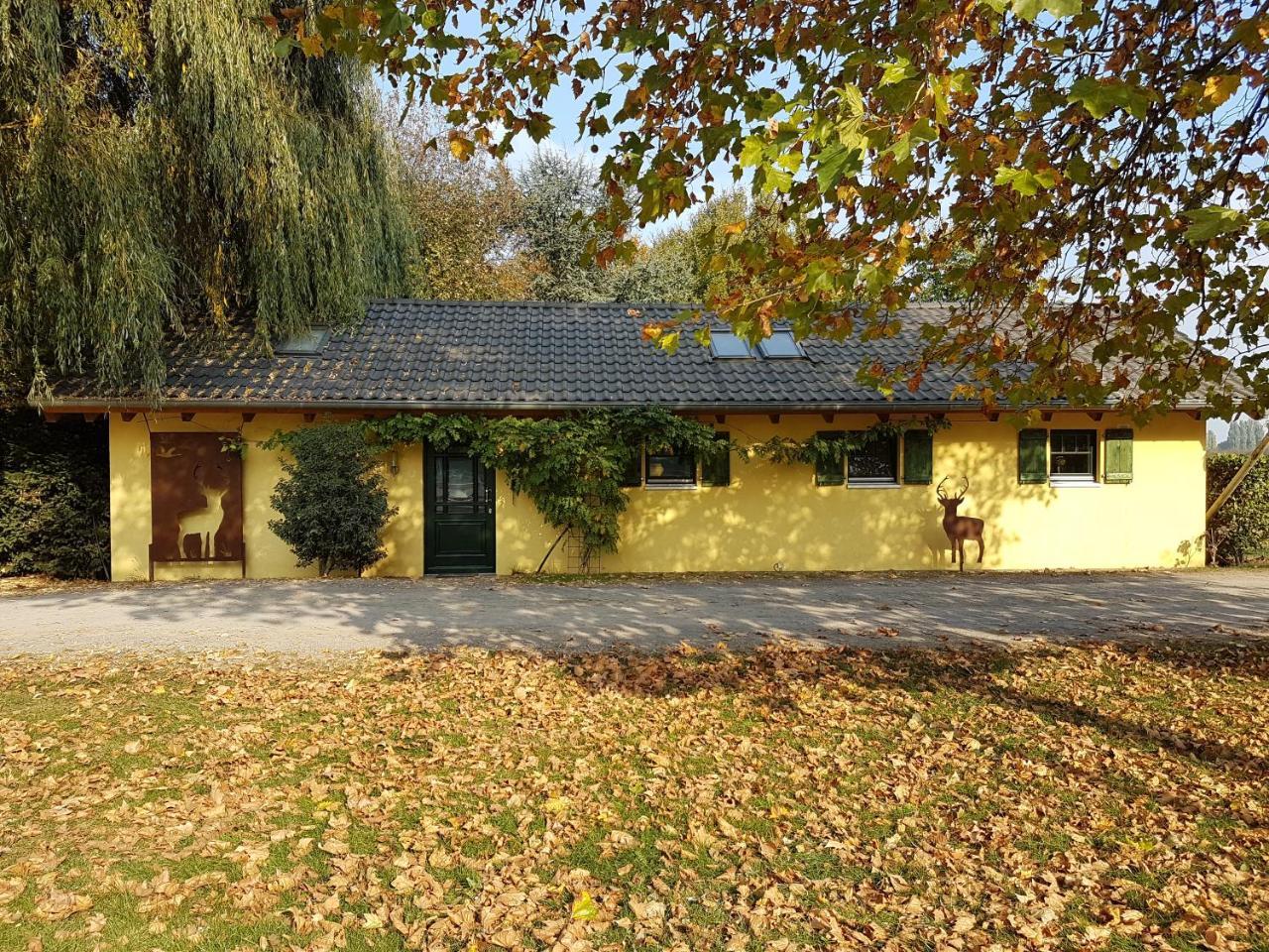 Luisenhof Apartment